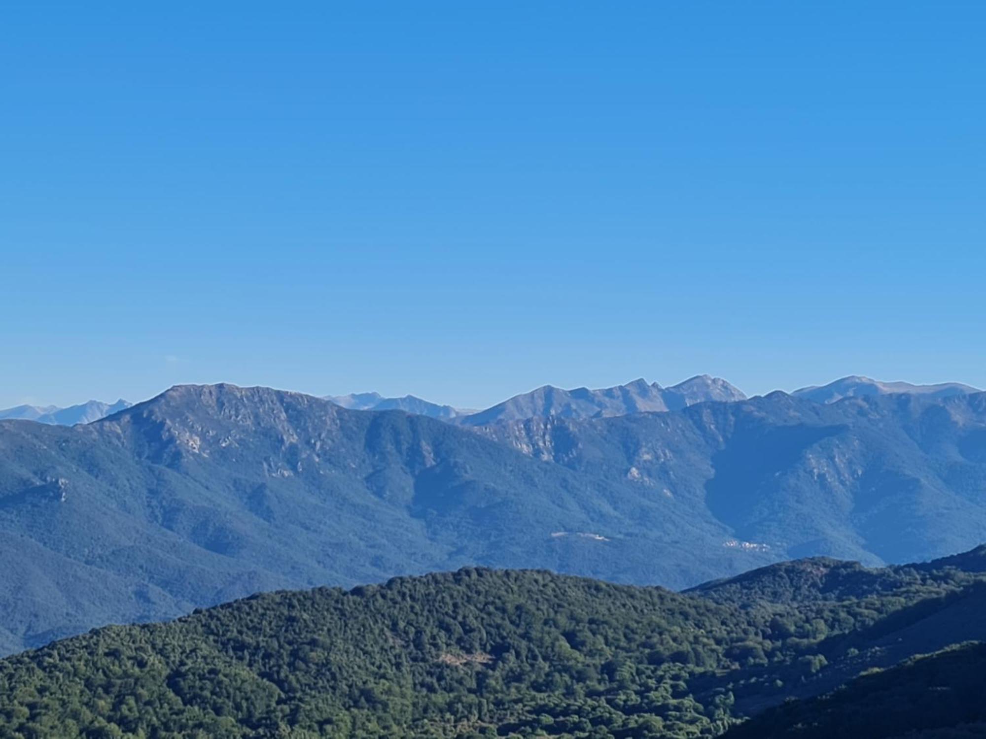 Ferme Auberge Du Col De La Vaccia Olivese エクステリア 写真