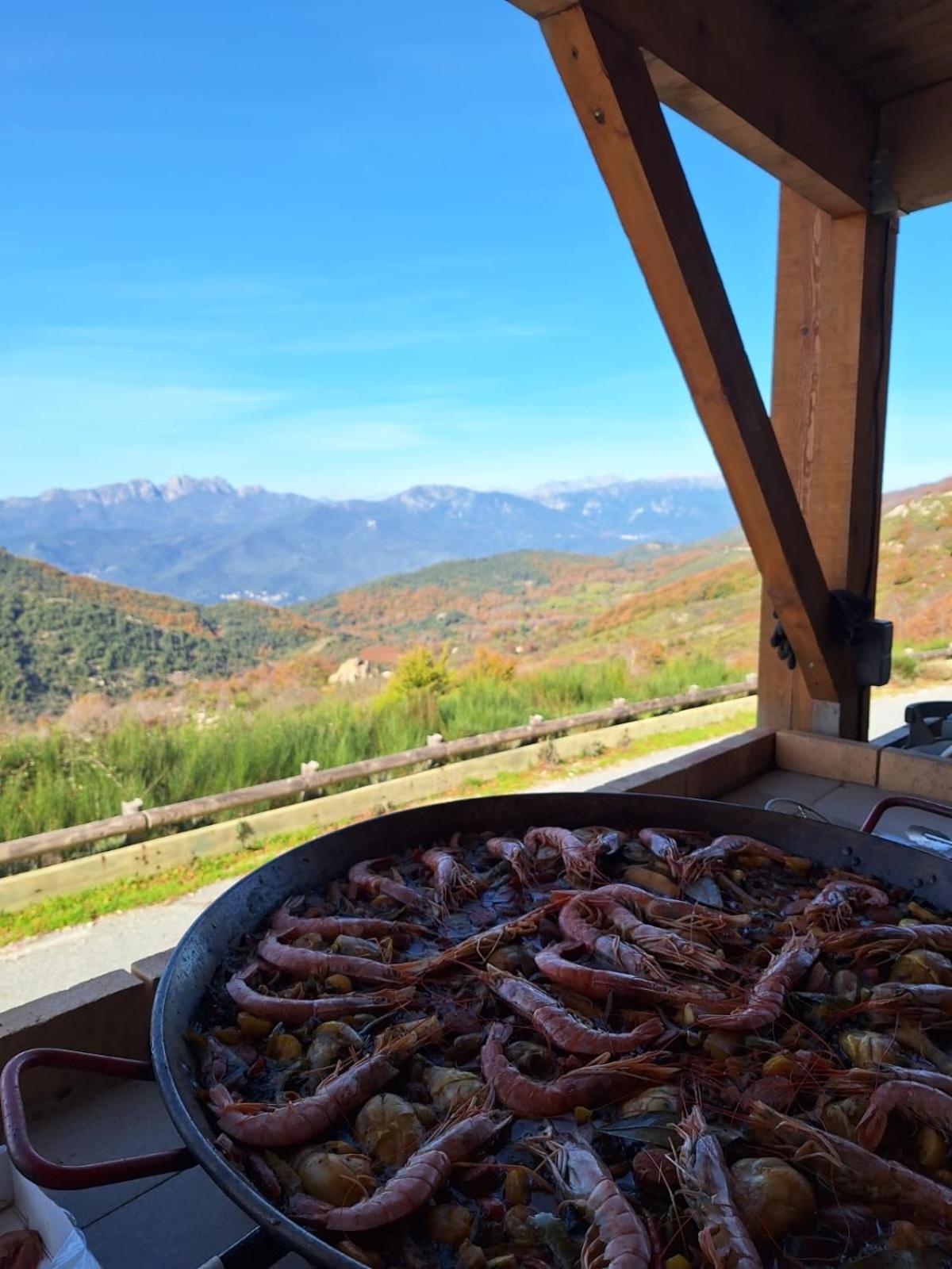 Ferme Auberge Du Col De La Vaccia Olivese エクステリア 写真